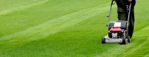 How Automatic Lawn Mowers Are Revolutionizing Lawn Care