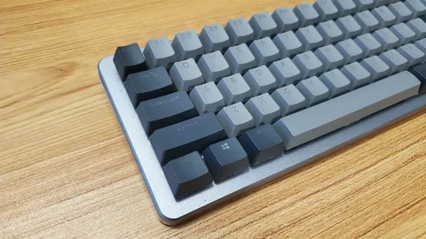 Why a Small Mechanical Keyboard Might Be All You Need