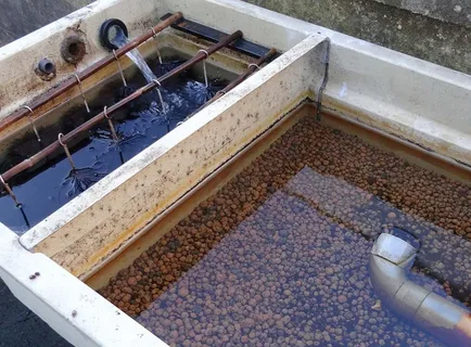 The Ultimate Koi Pond Filtration Solution