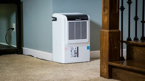 Portable vs. Whole-House Dehumidifiers: Which One Do You Need?