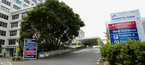 Immigration Medical Auckland: What to Expect and How to Prepare