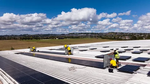 Why Solar Installation Auckland Is the Smart Choice for Energy Savings in 2026